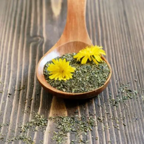 DRIED DANDELION LEAF