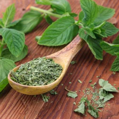DRIED HERB PEPPERMINT.