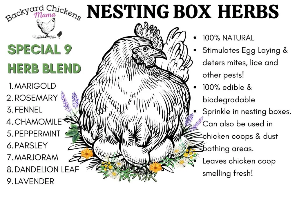 NESTING BOX HERBS FOR CHICKENS