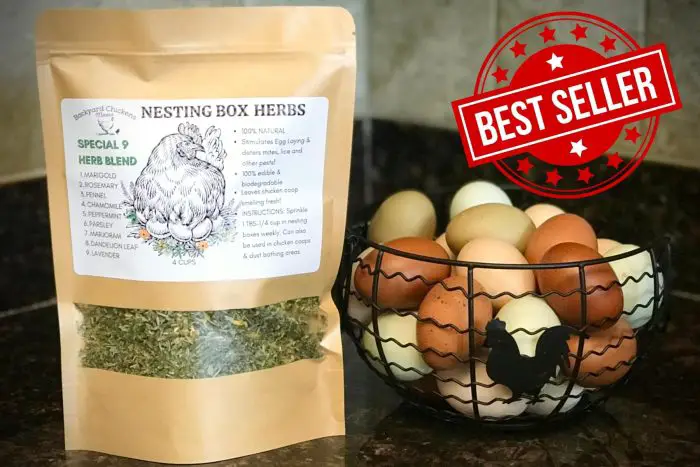 NESTING BOX-HERBS-FOR-EGG-LAYING-CHICKENS