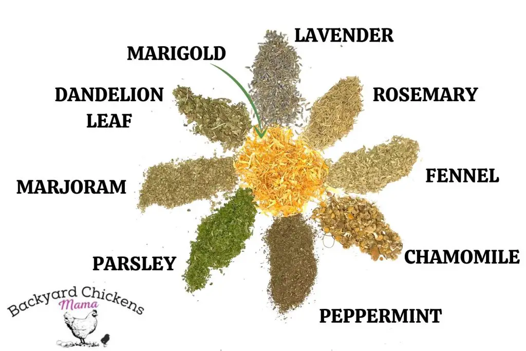 SPECIAL 9 HERB BLEND CHART