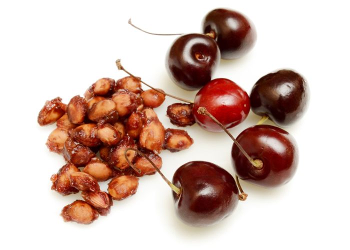 CAN CHICKENS EAT CHERRIES OR CHERRY SEEDS (PITS)