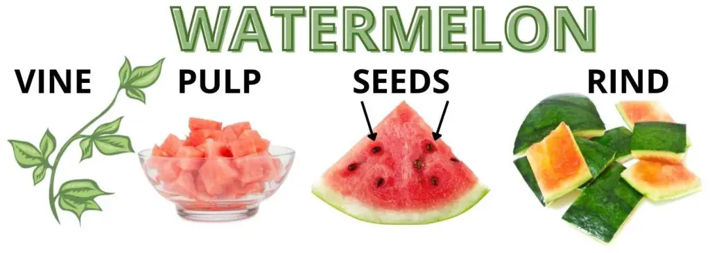 WATERMELON VINE, PULP, SEEDS AND RIND.  CAN CHICKENS EAT WATERMELON?