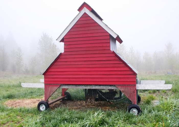 TIPS FOR MOVING A CHICKEN TRACTOR