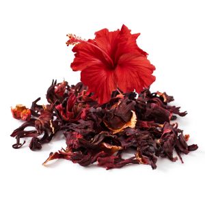 Hibiscus is an excellent cooling herb for chickens.