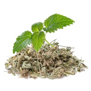 Lemon balm is an excellent cooling herb for chickens.