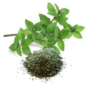 PEPPERMINT COOLING HERB FOR CHICKENS
