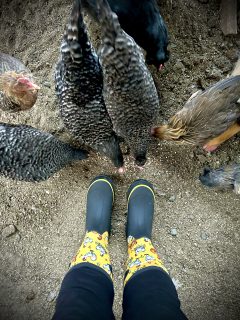 HISEA CHICKEN BARN BOOTS REVIEW
