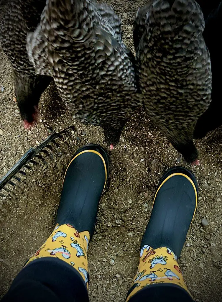 HISEA barn boots are durable.

