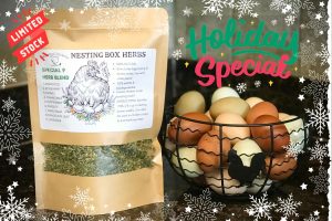 Nesting Box Herbs Holiday Sale