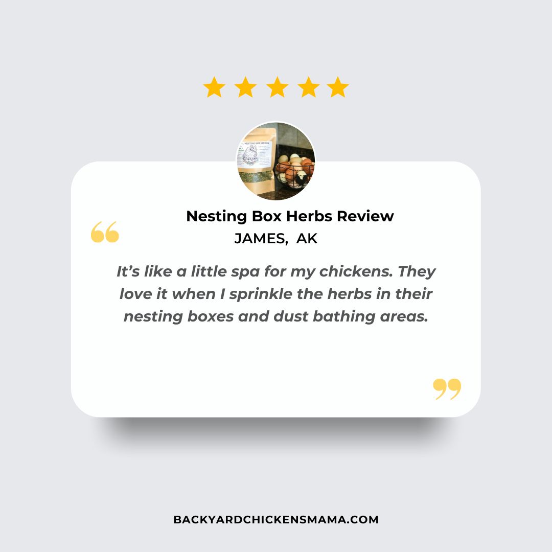 NESTING BOX HERBS FOR CHICKENS CUSTOMER REVIEW  5