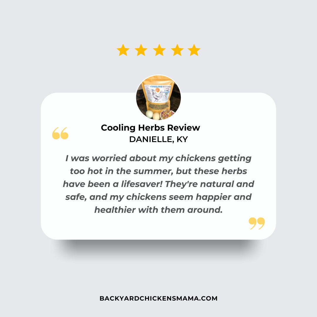 COOLING HERBS FOR CHICKENS CUSTOMER REVIEW 9