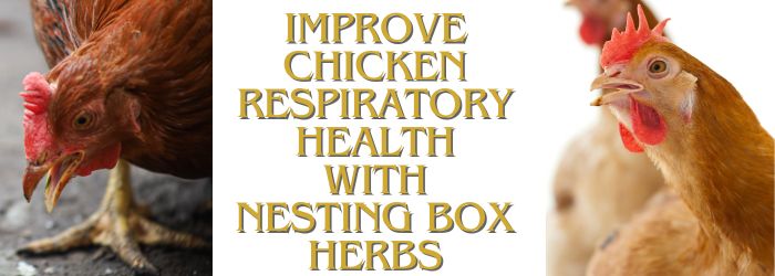 IMPROVE RESPIRATORY HEALTH WITH NESTING BOX HERBS