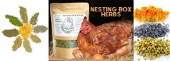 Why it's important to introduce herbs to chickens gradually