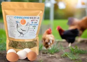 Cooling Herbs for Chickens during Extreme Heat