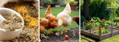 10 BEST WAYS TO KEEP CHICKENS OUT OF THE FLOWER BEDS
